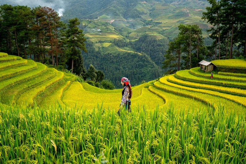Green Innovation in Agriculture